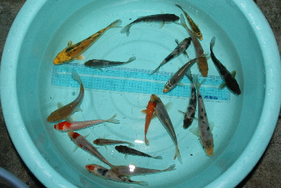20111016 044-400.jpg